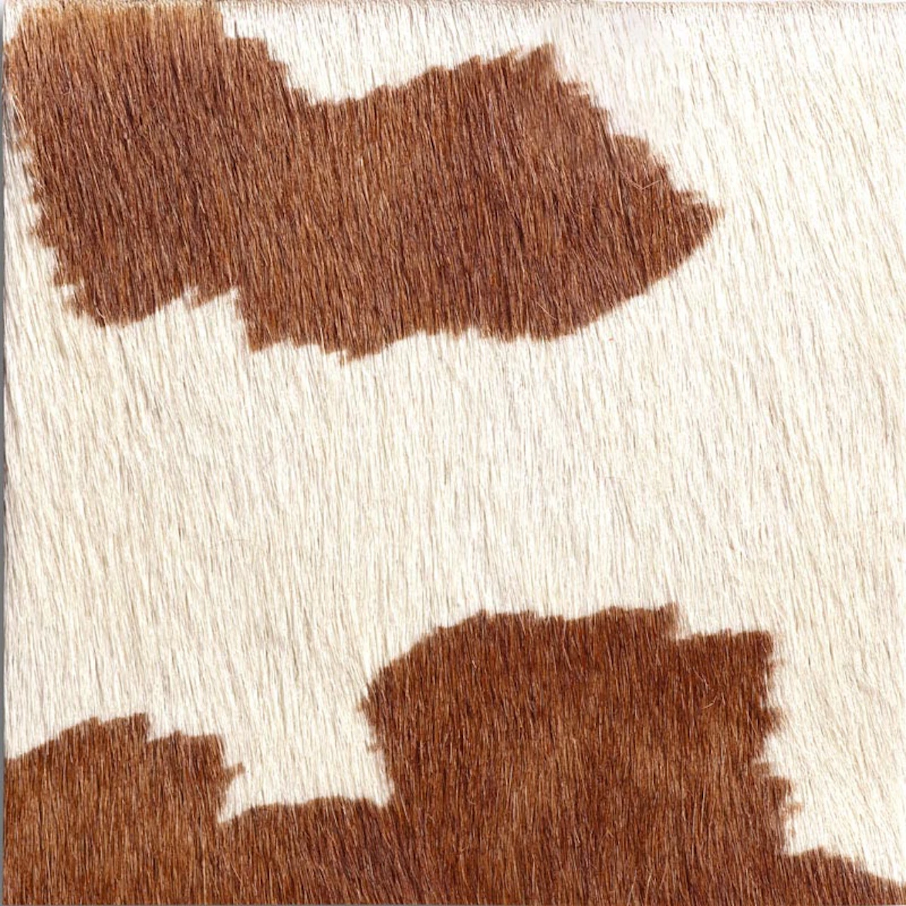 Brown/white Cow Prin