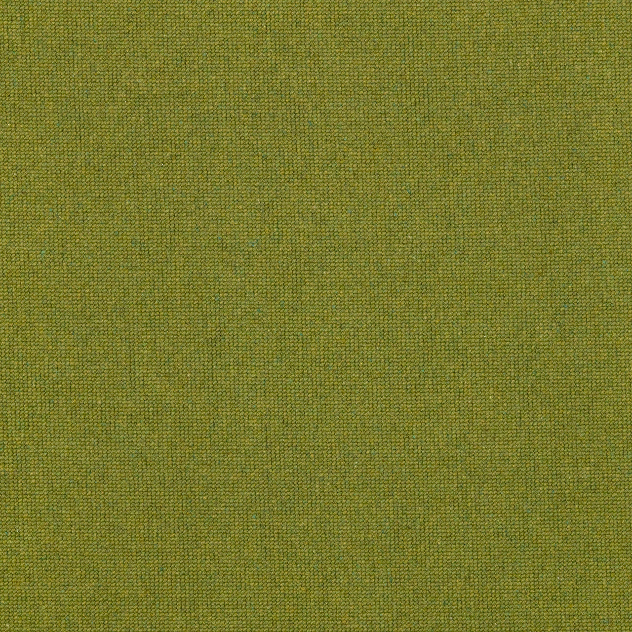 Centella