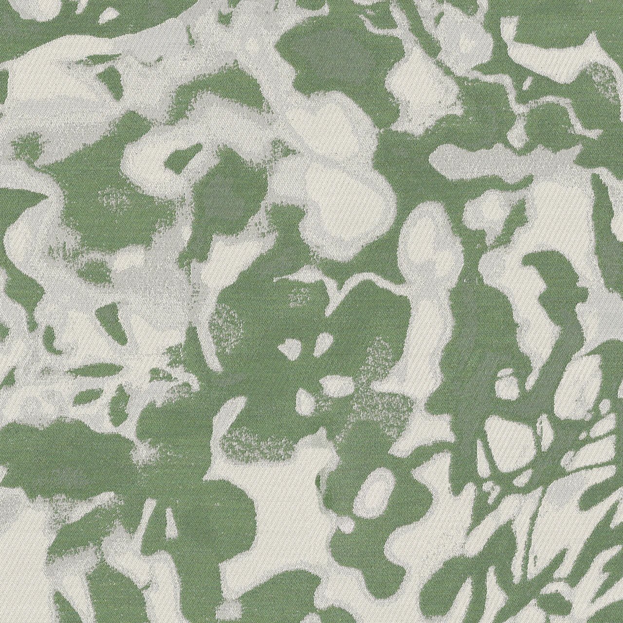 Maidenhair