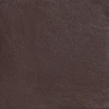 Deep Brown