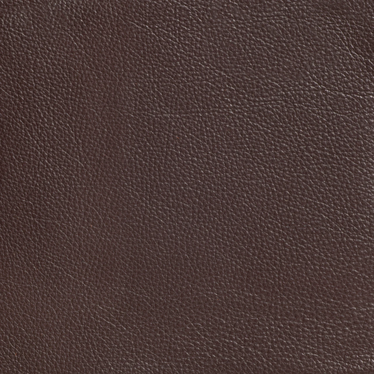 Deep Brown