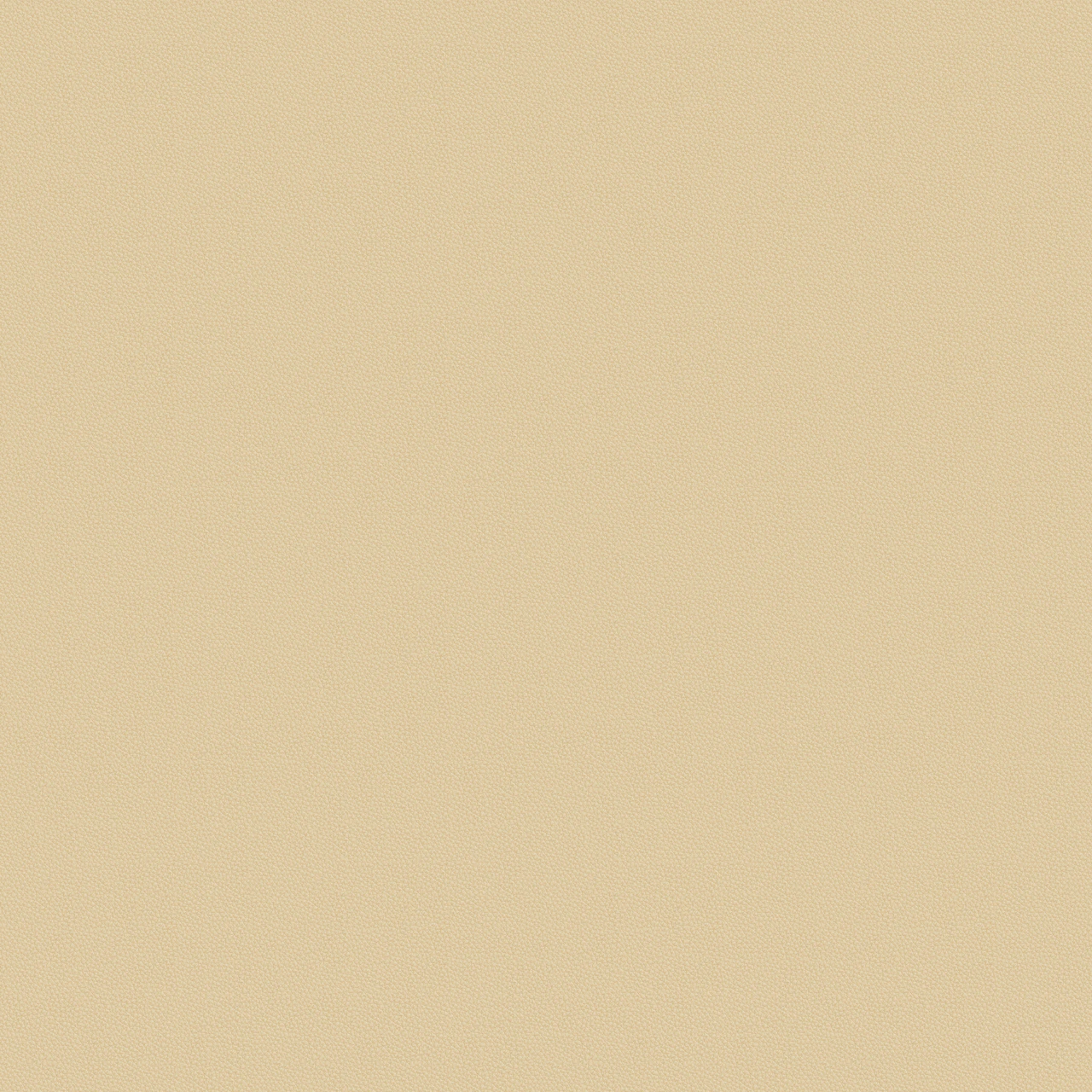Tatami
