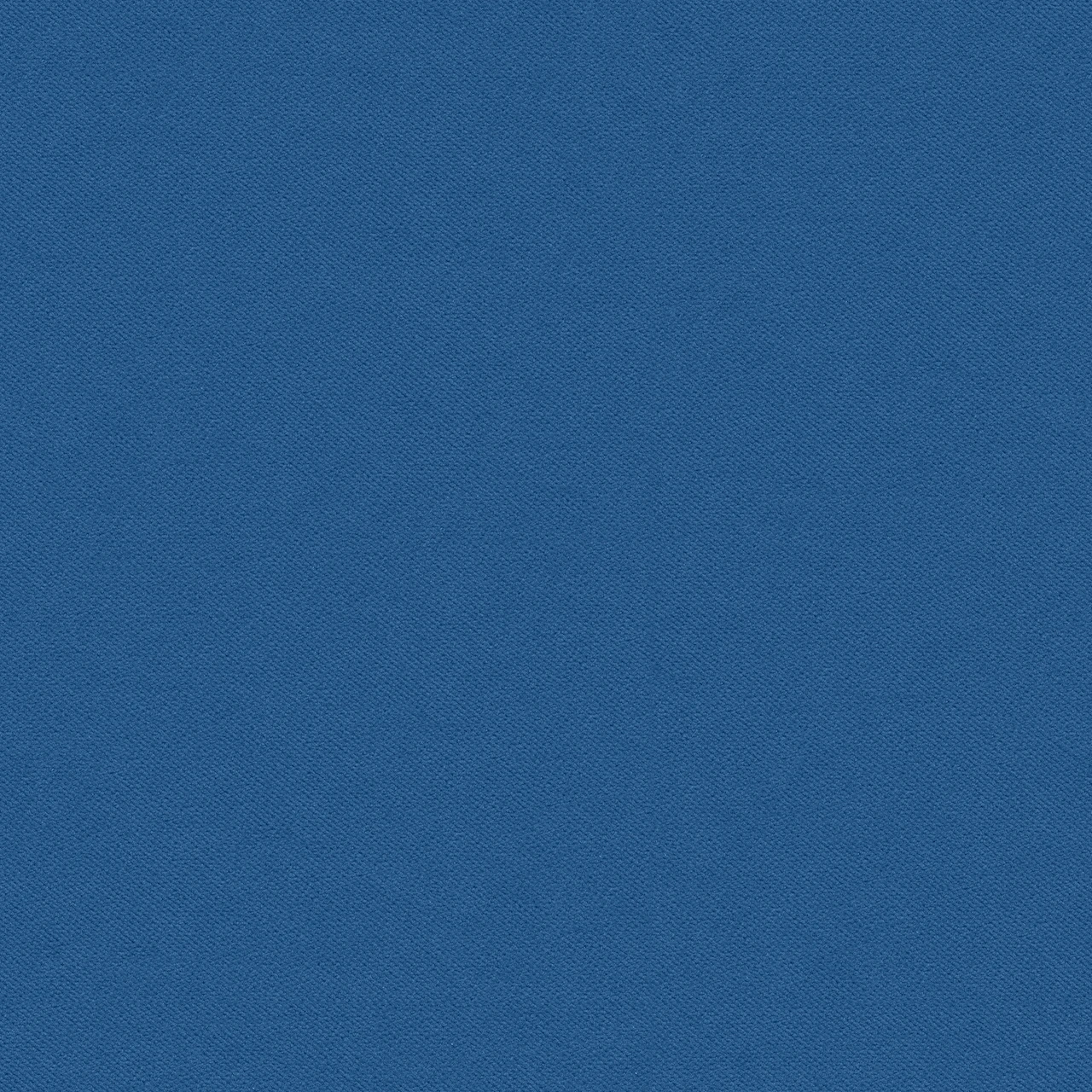 Bluebird