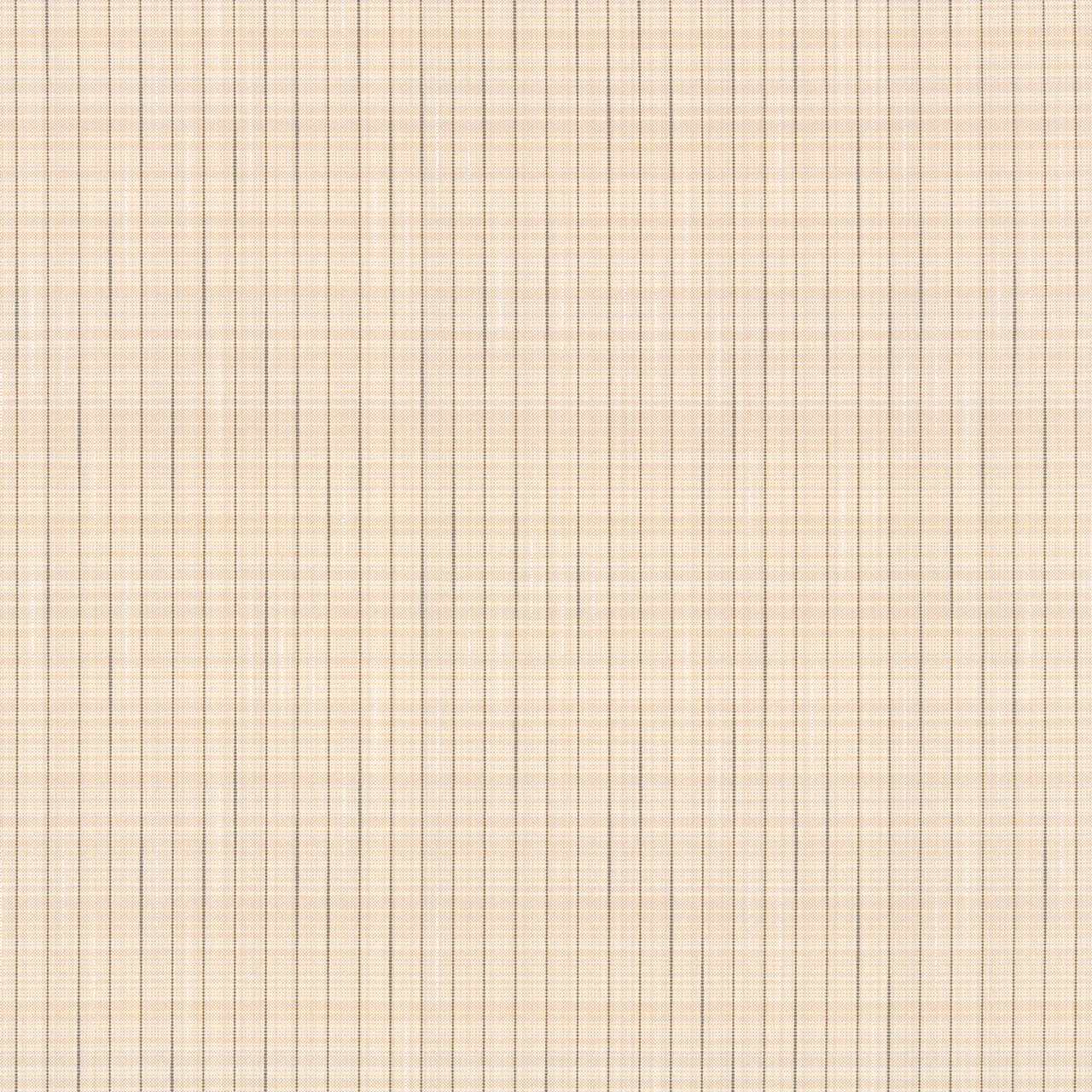 Muskmelon