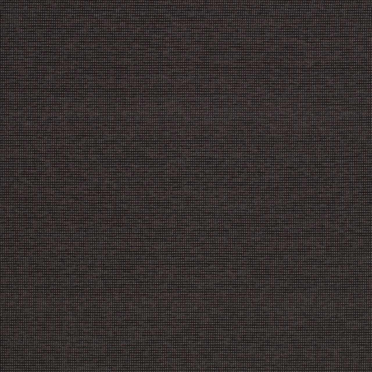 Dark