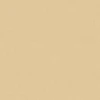 Chamois